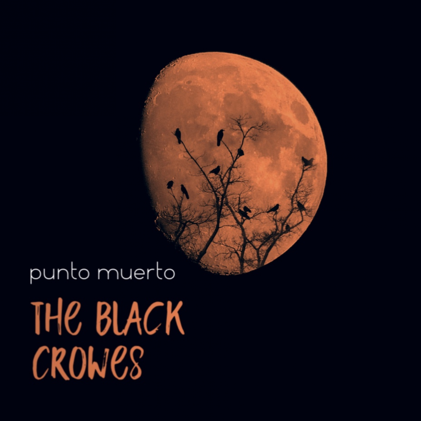 Punto Muerto