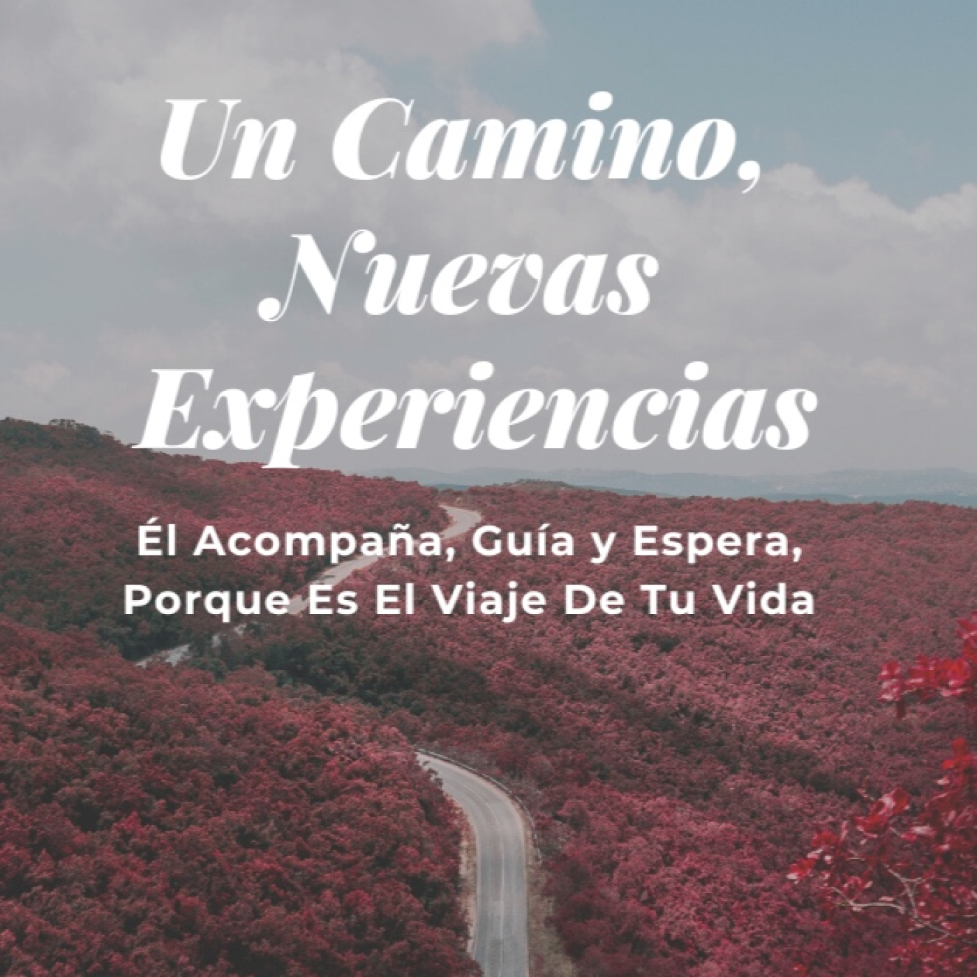 6. Continuamos la Lucha