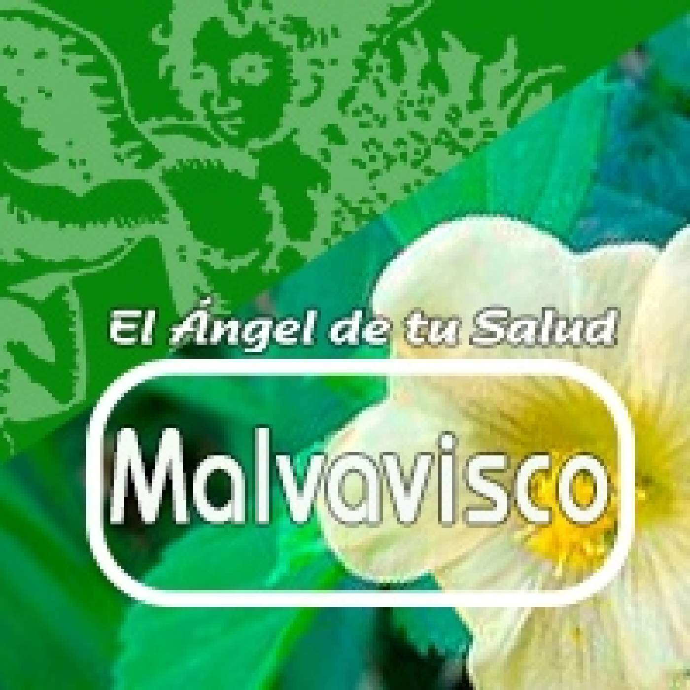 El Angel de tu Salud - MALVAVISCO*****