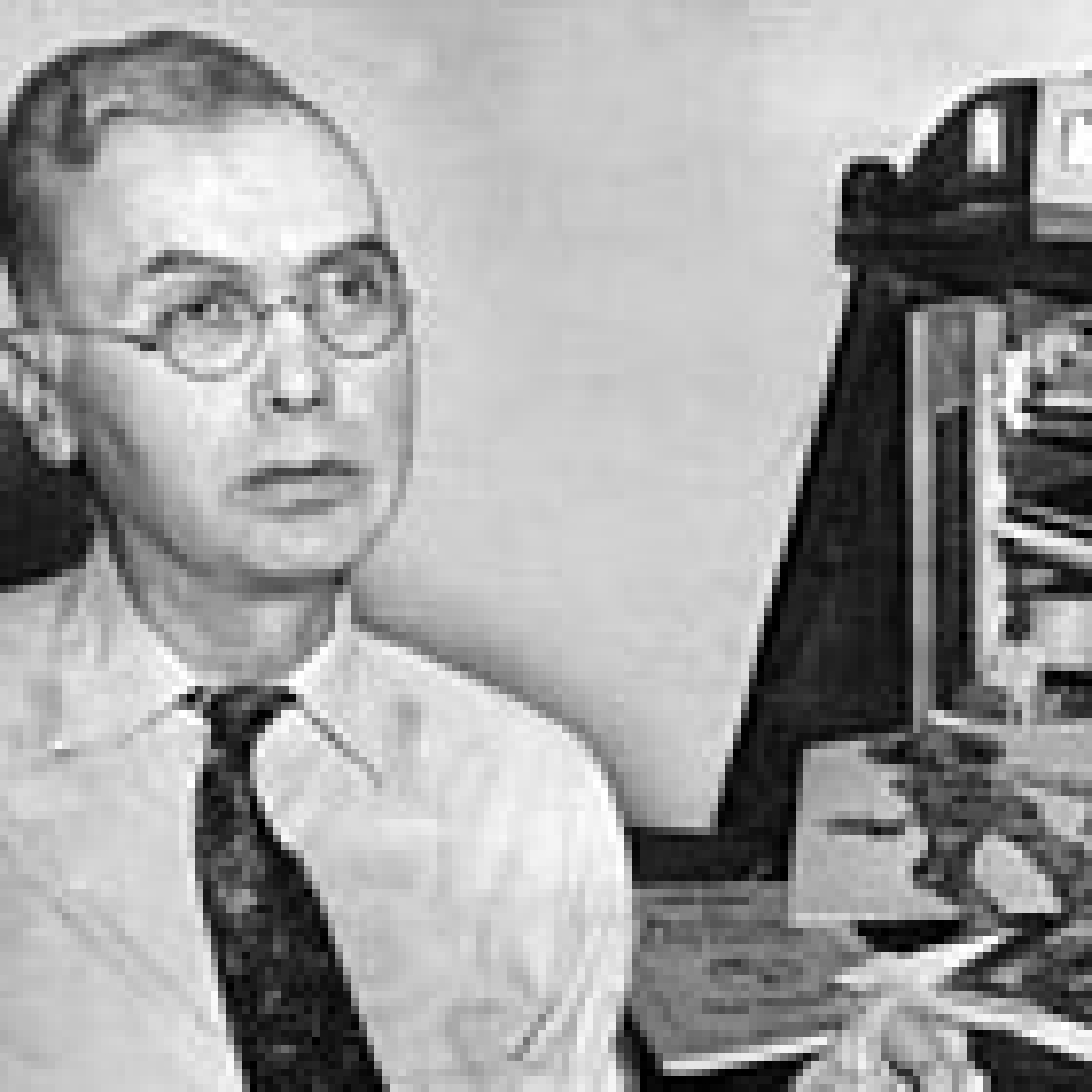 Crónicas del cartón: el Podcast de Asocards