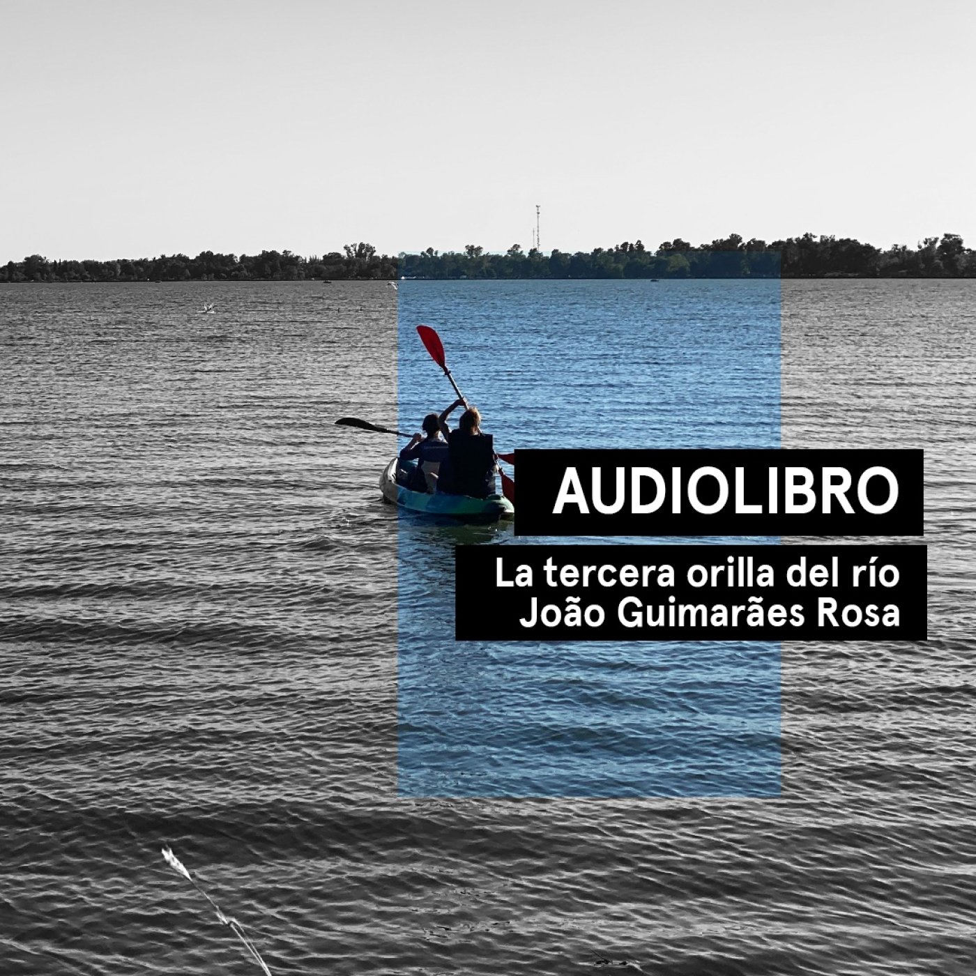 La tercera orilla del río - João Guimarães Rosa | Audiocuento | Por qué leer