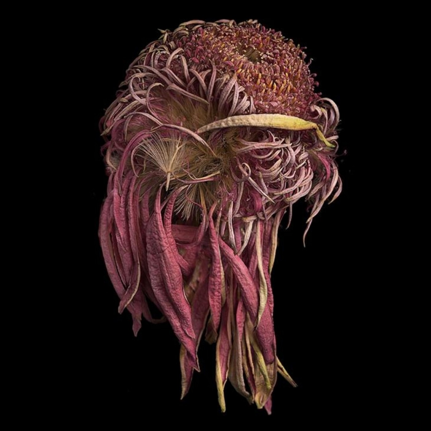 Podcast de InFocusRadio