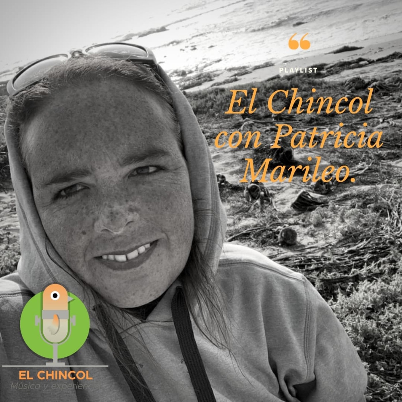 El Chincol