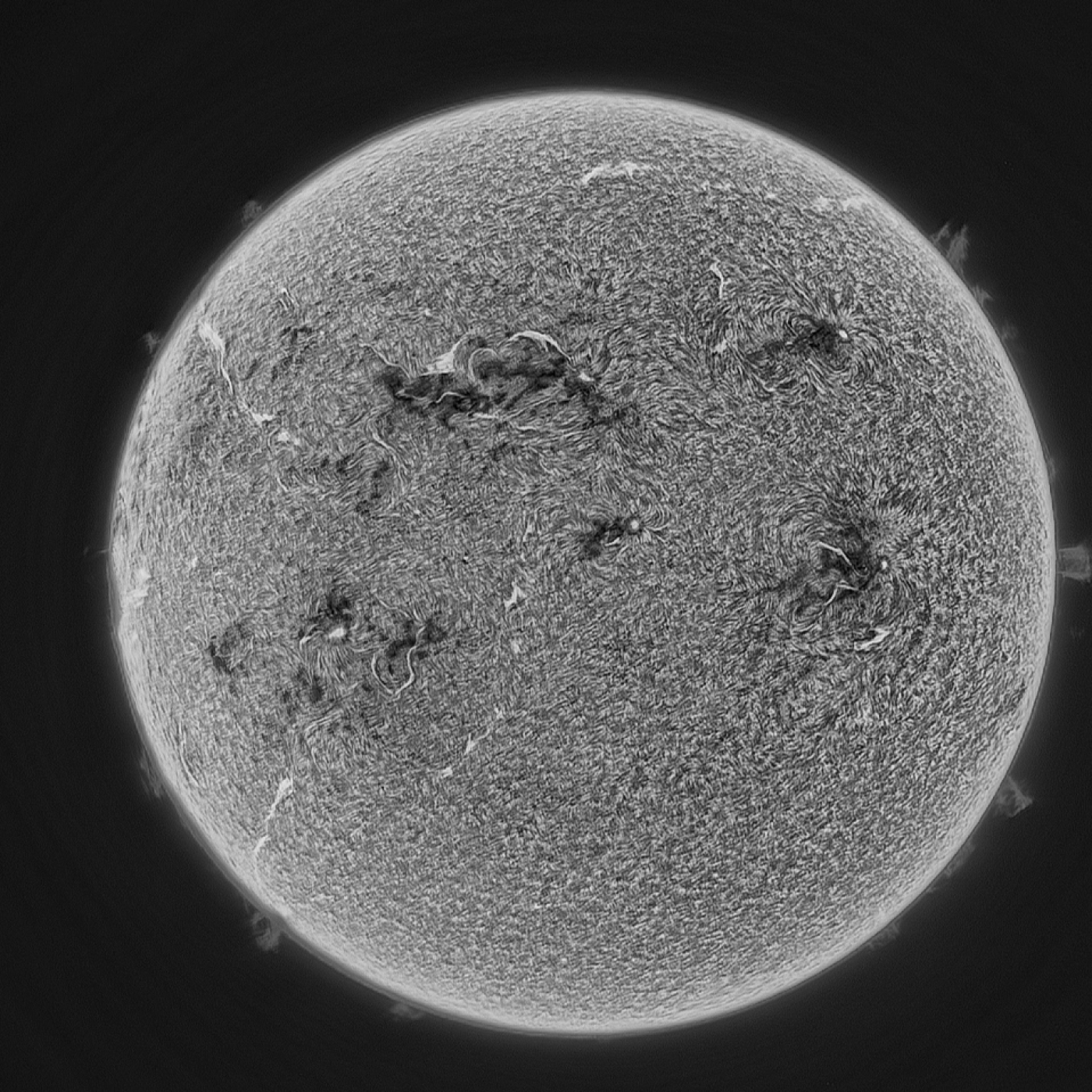 Bajo las estrellas, una mirada al universo