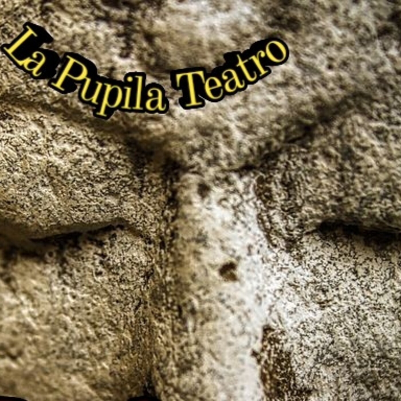 LA PUPILA INSOMNE