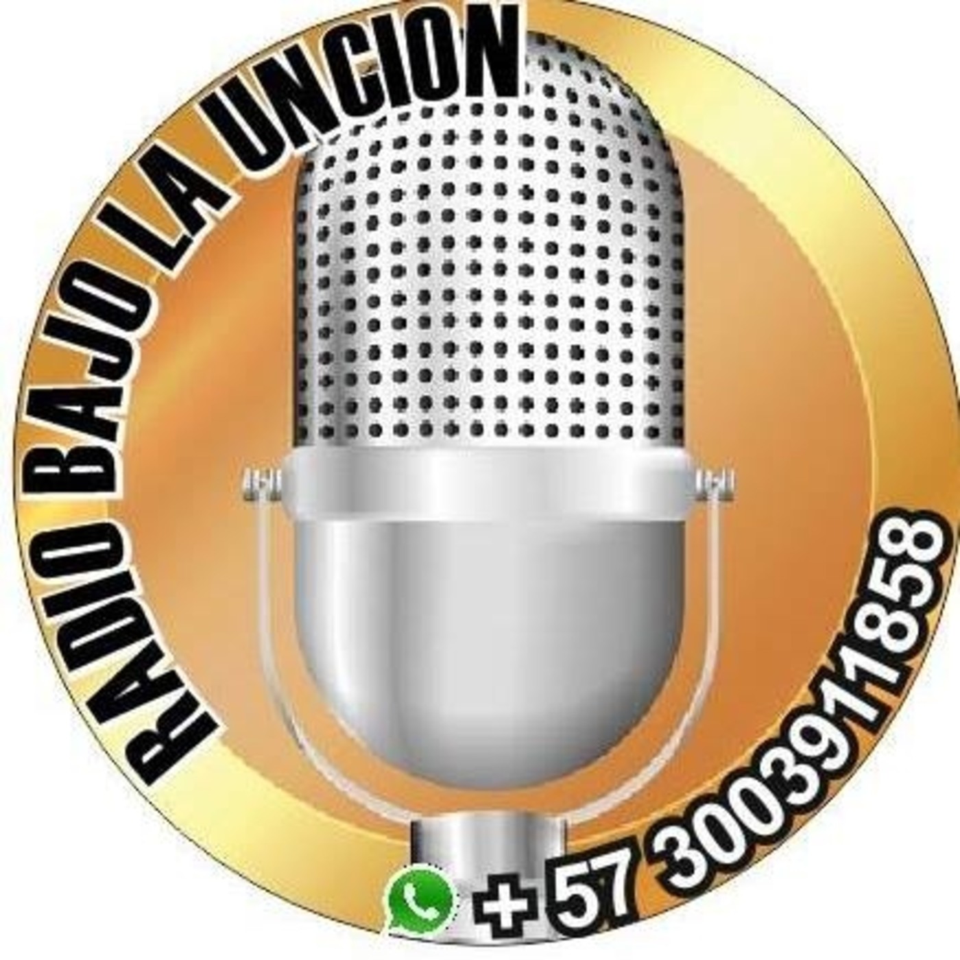 JESUS HERNAN MEDINA MARIÑO