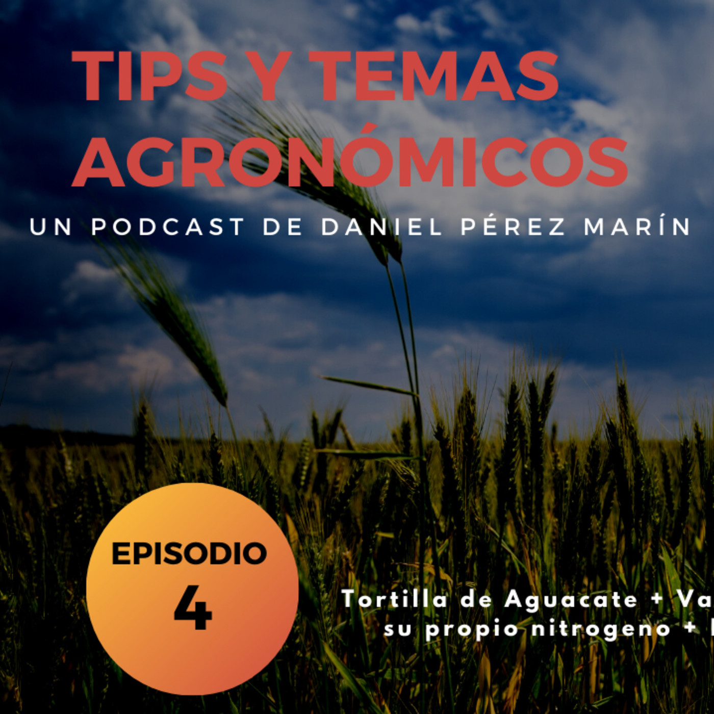 Podcast 4. Tortillas de Aguacate