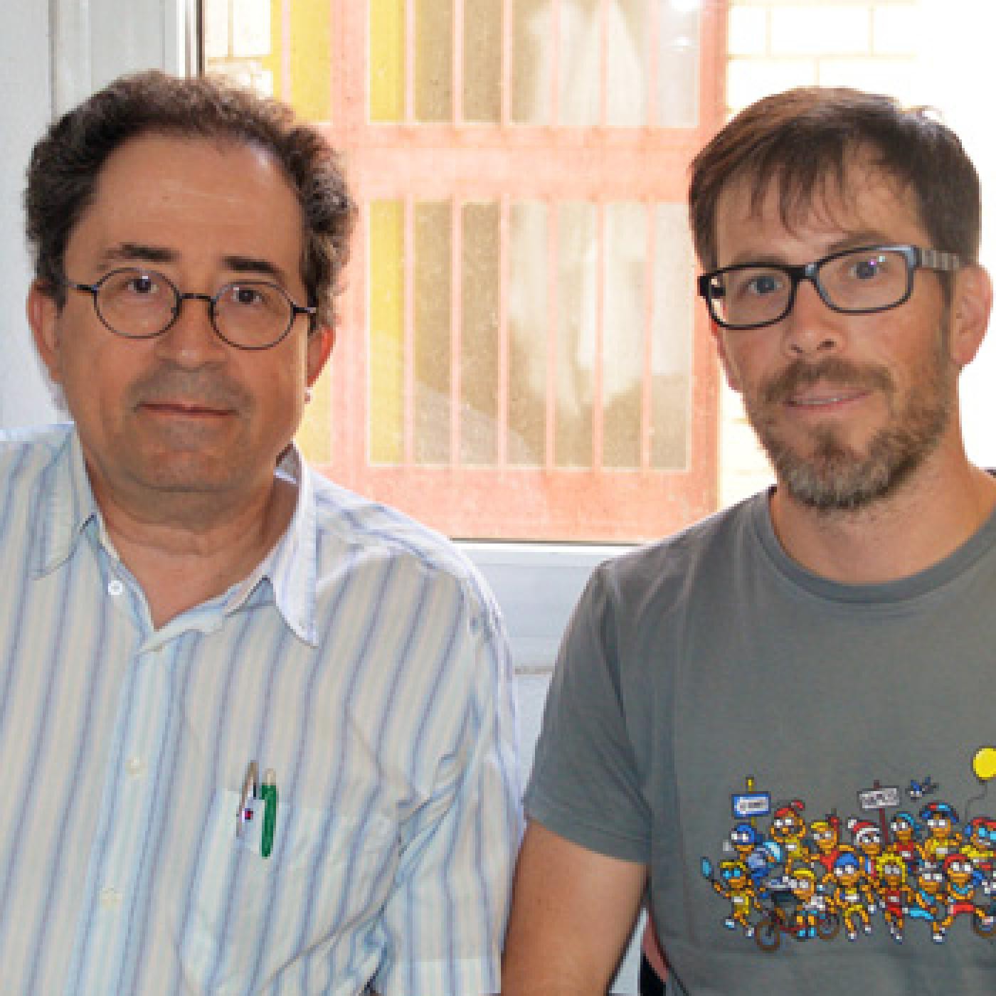 Cursos de Verano Universidad de Almería 2016