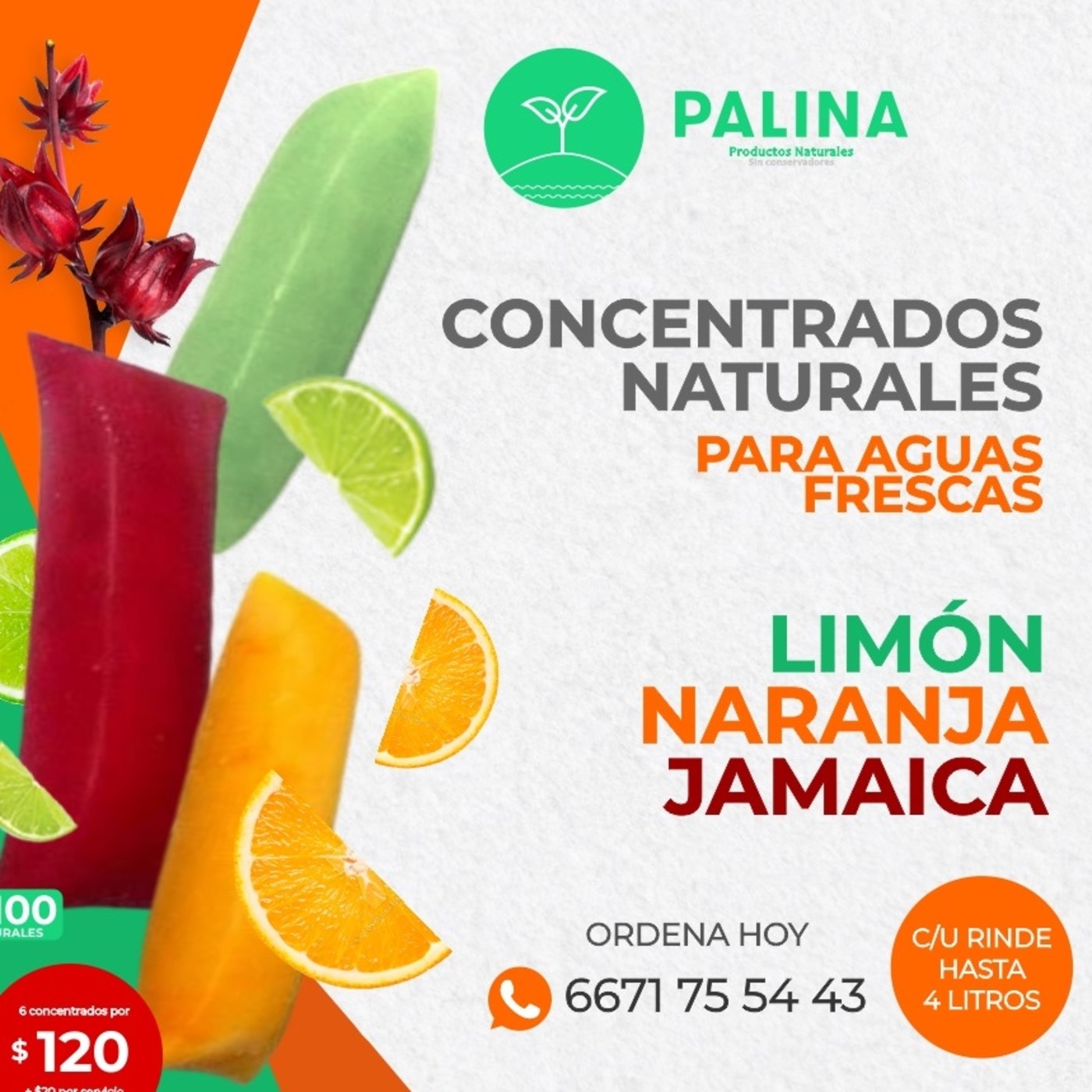 PRODUCCIÓN DE AUDIO