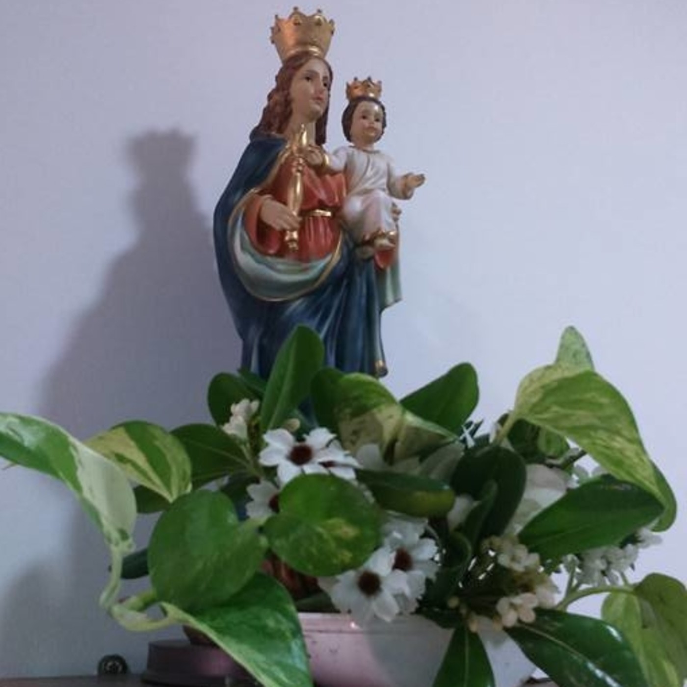 SOÑANDO CON DON BOSCO