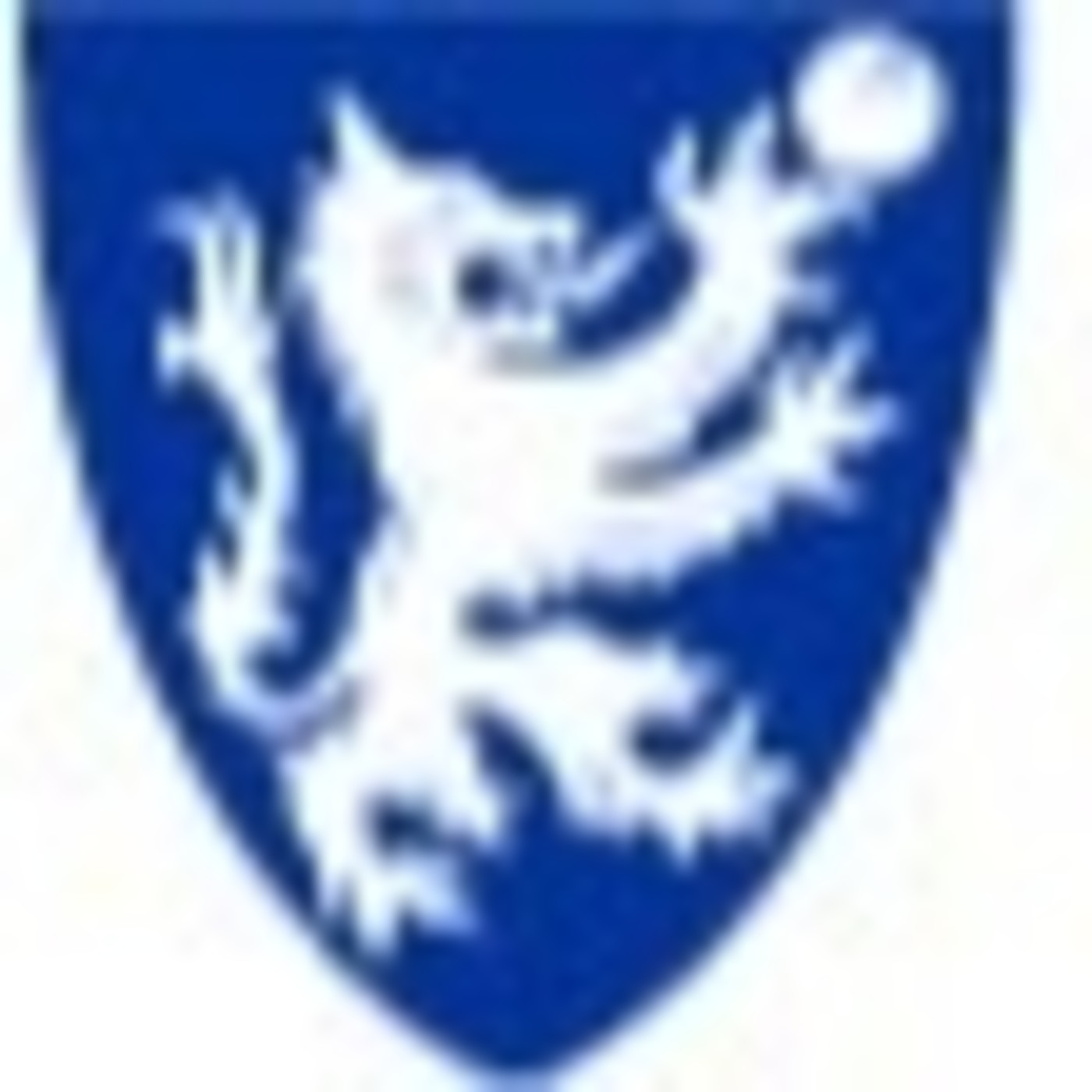 DORREGO RADIO - HANDBALL