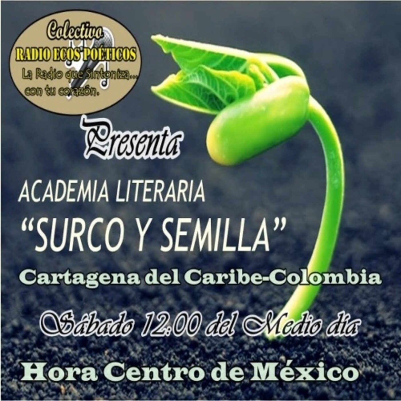 ACADEMIA LITERARIA SURCO Y SEMILLA