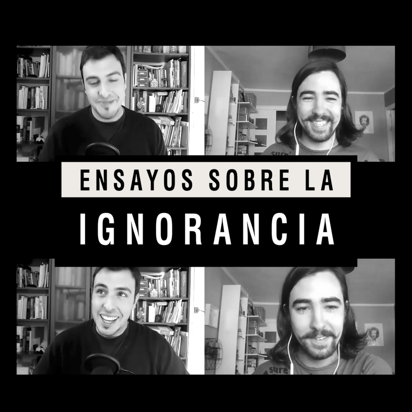 Ensayos sobre la ignorancia