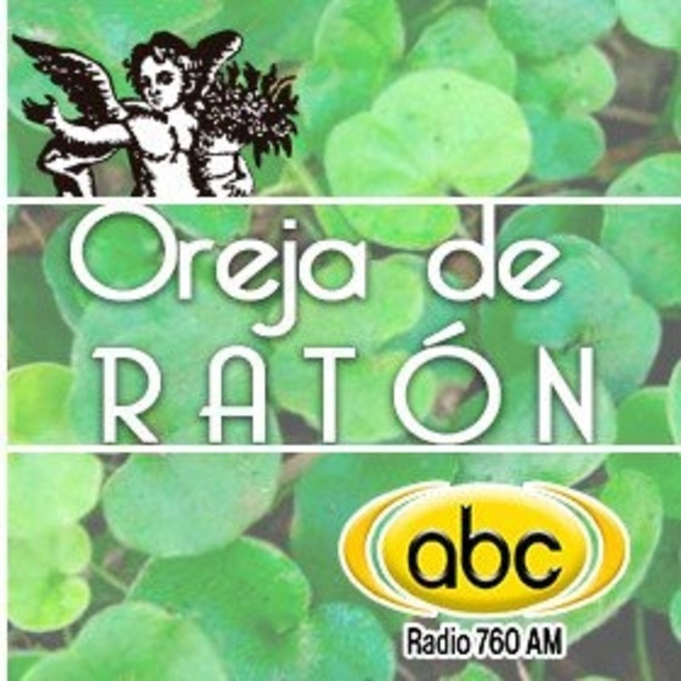 El Angel de tu Salud - OREJA DE RATÓN episode artwork