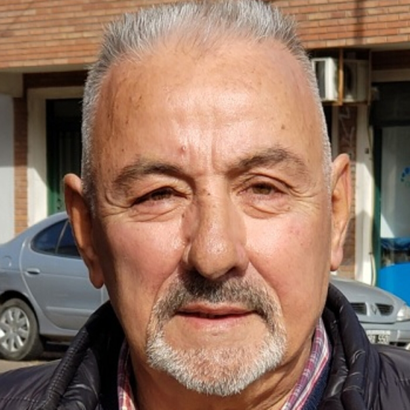 DECISIÓN 96 LA POLITICA EN VIVO