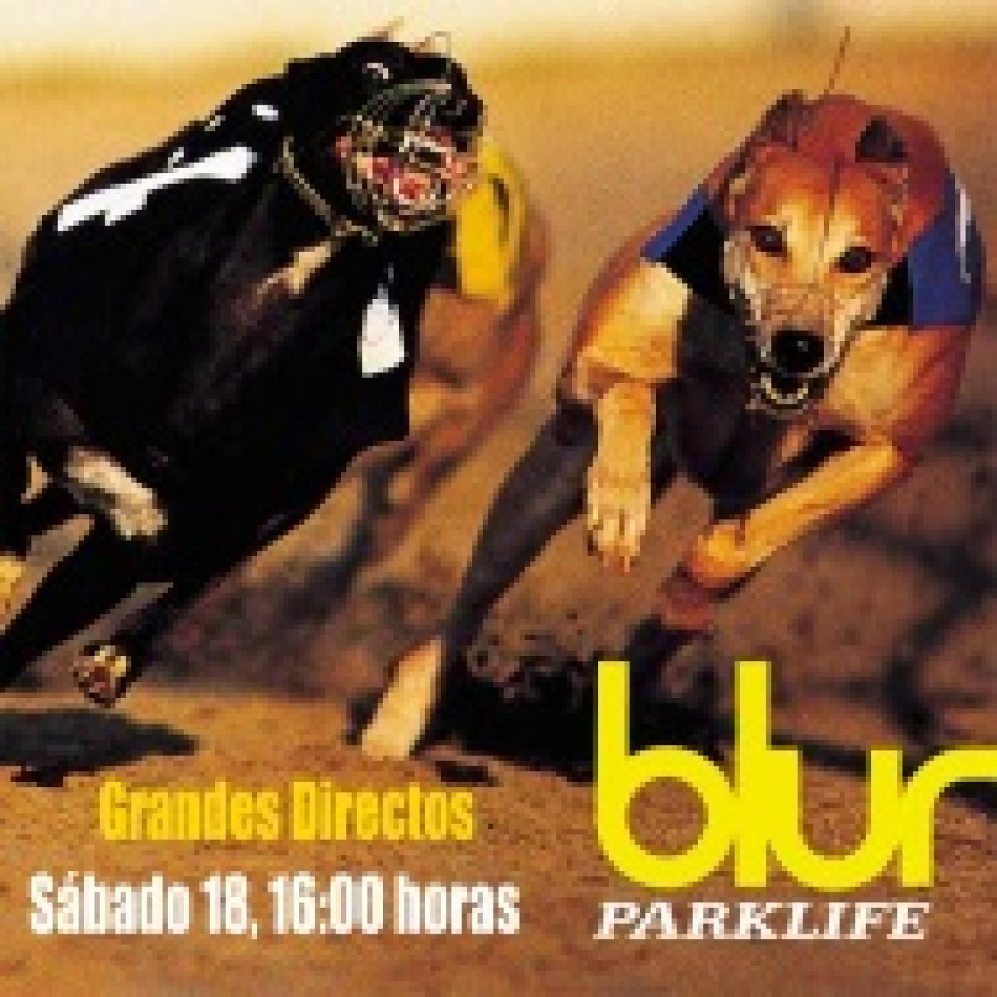 GRANDES DIRECTOS