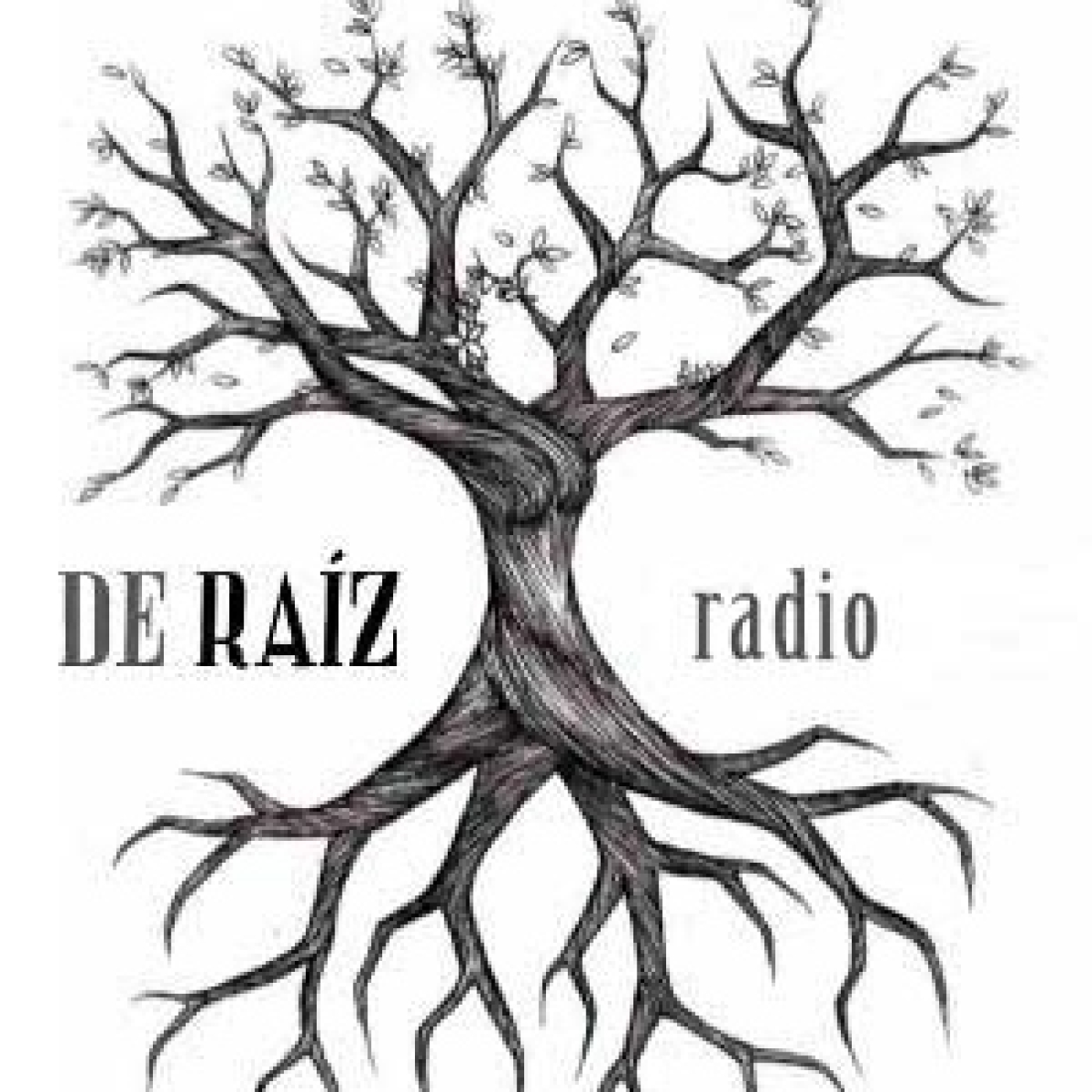 De Raíz Radio
