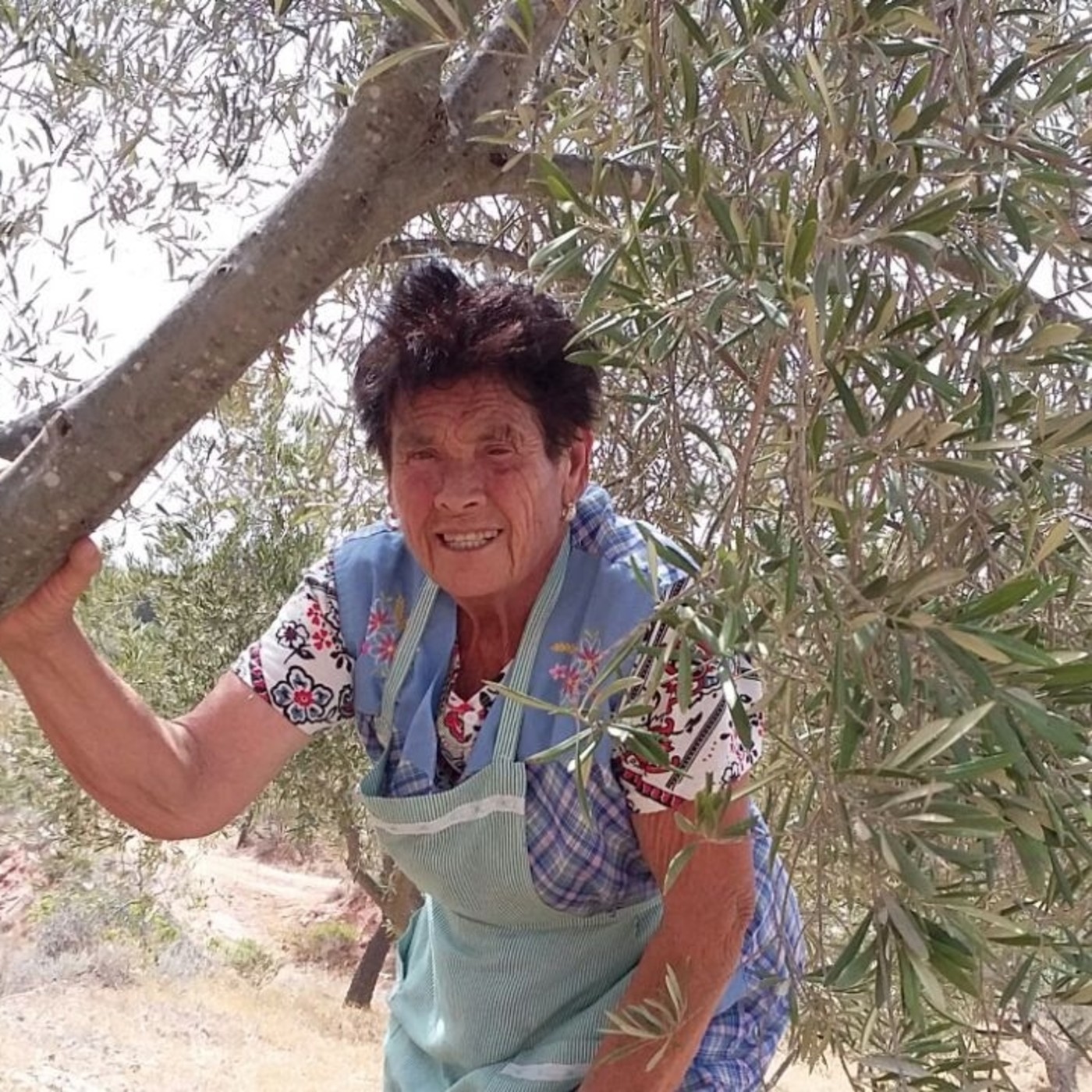 Desaparecidos.Núnca Olvidados