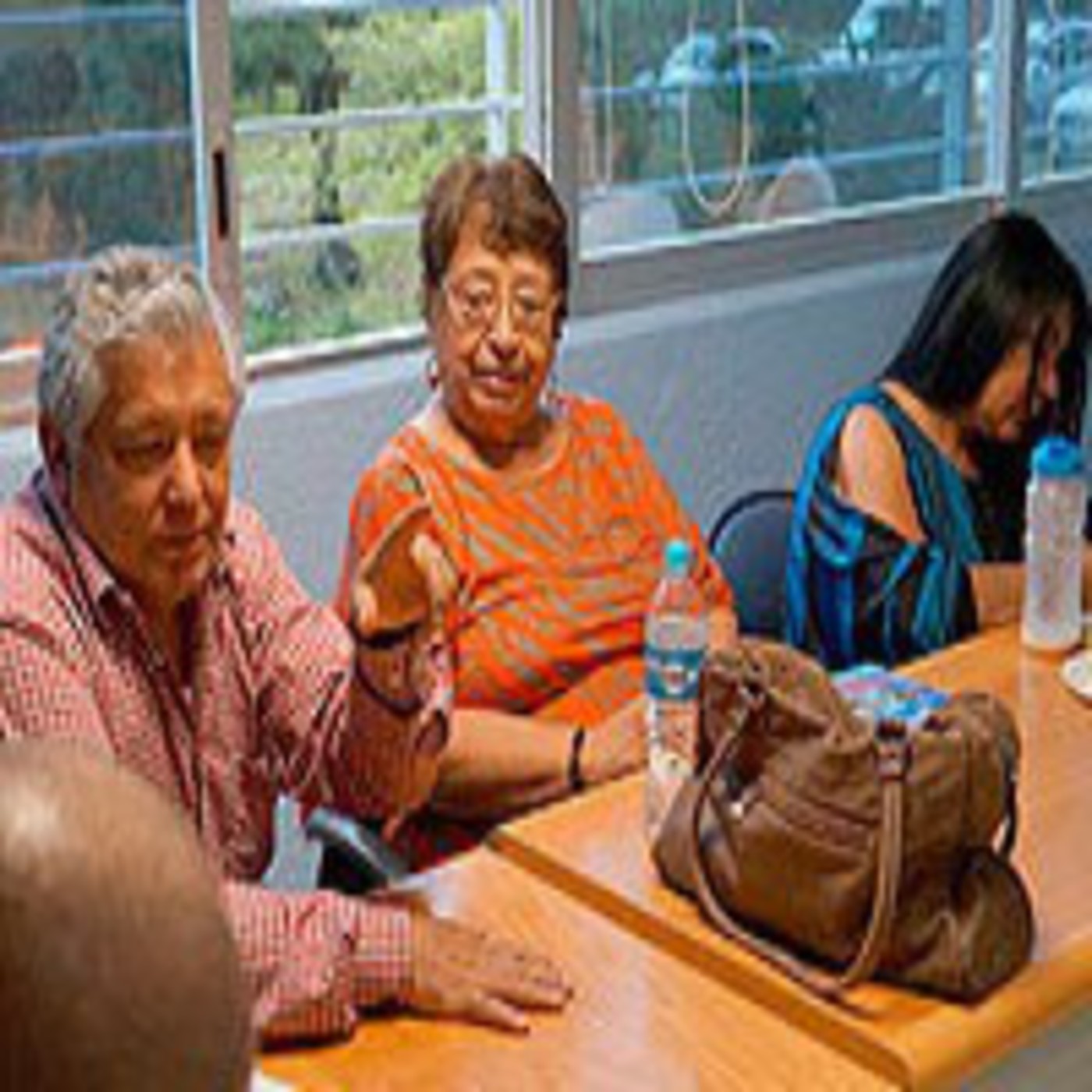 Visiones sobre la mediación tecnológica