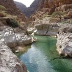 best wadi shab tour and trip packages