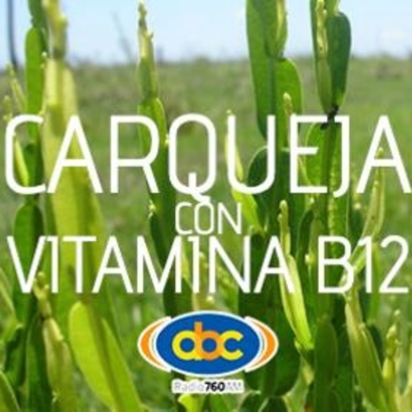 El Ángel de tu Salud - CARQUEJA CON B12