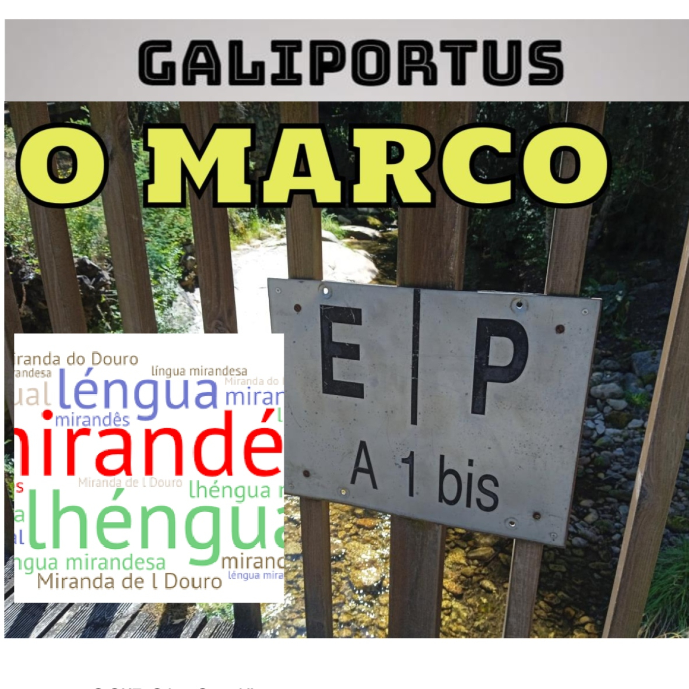 GALIPORTUS