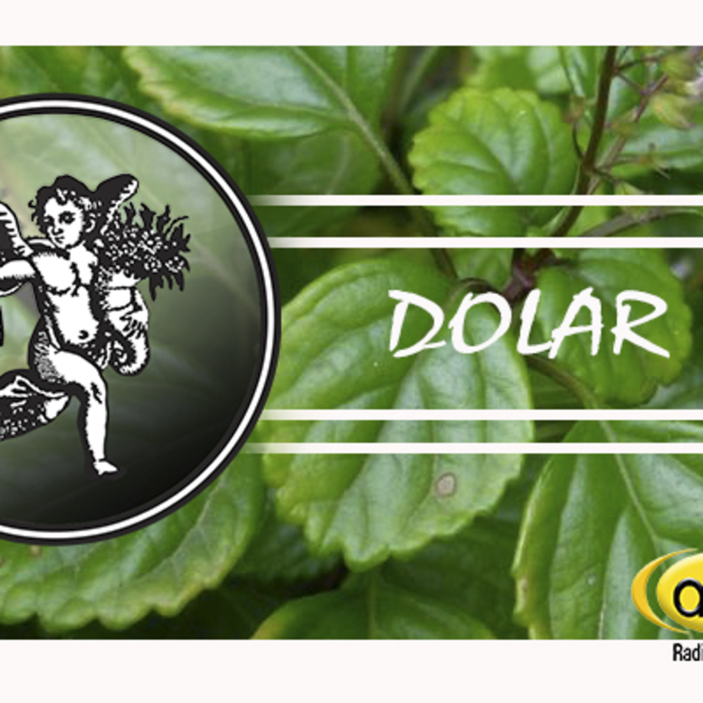 El Angel de tu Salud - DOLAR II episode artwork