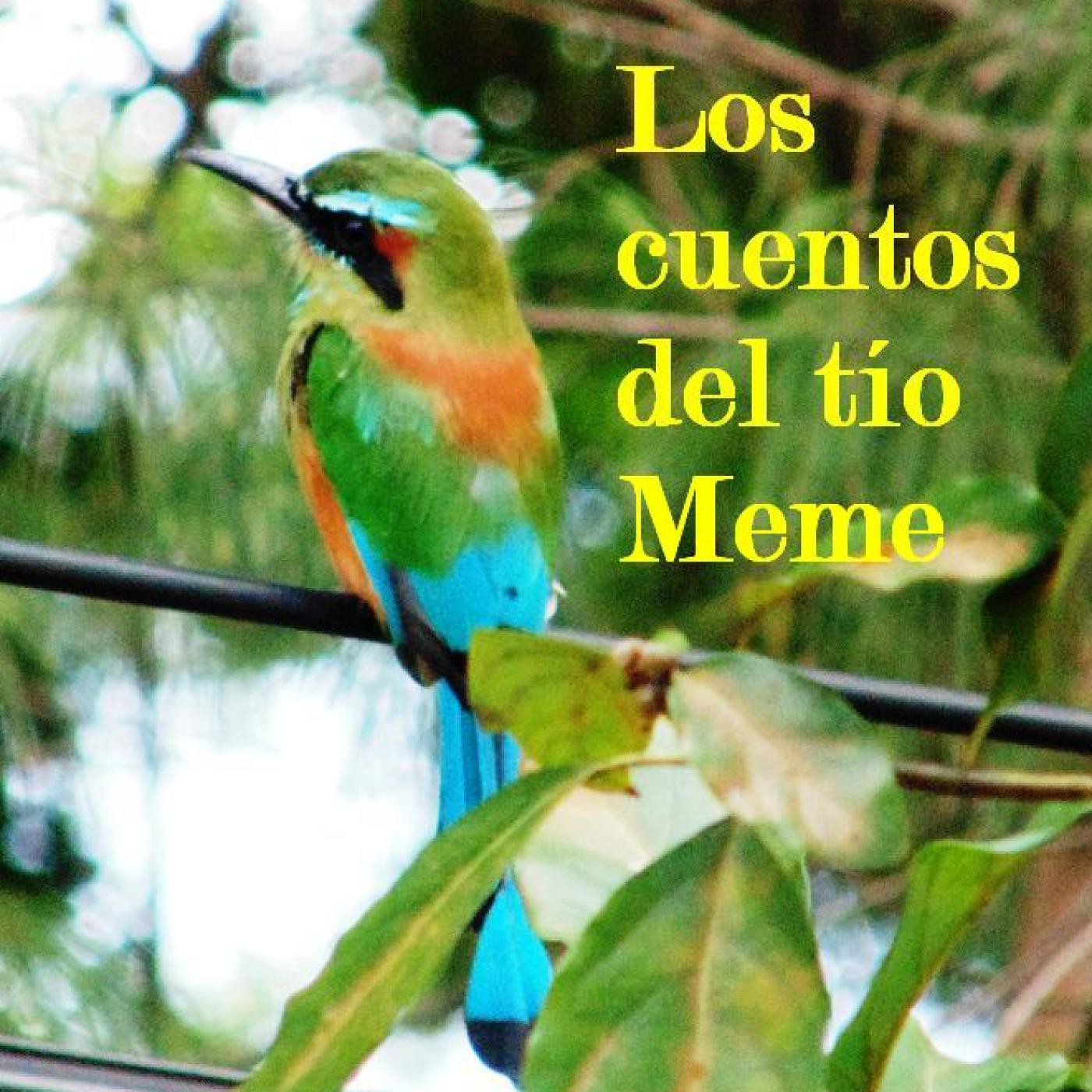 LOS CUENTOS DEL TÍO MEME