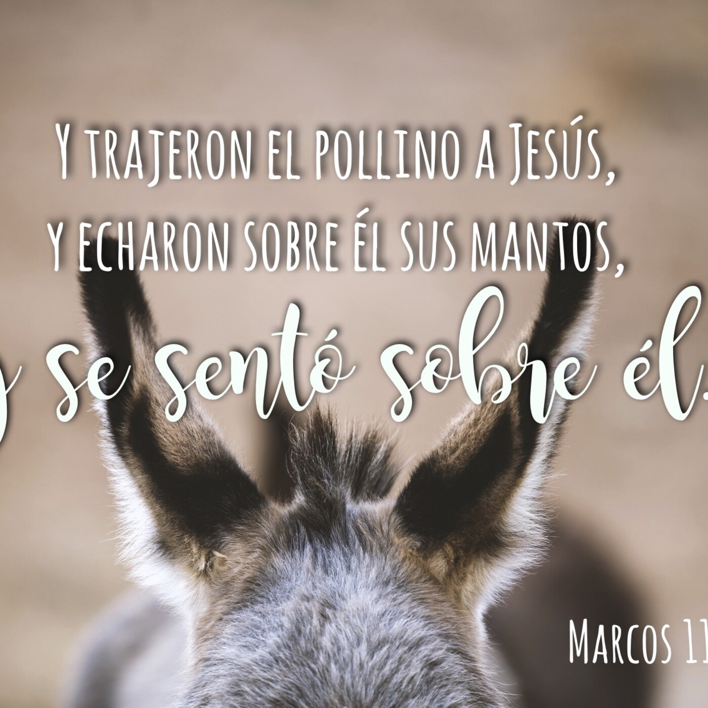 Odres Nuevos Iglesia Cristiana
