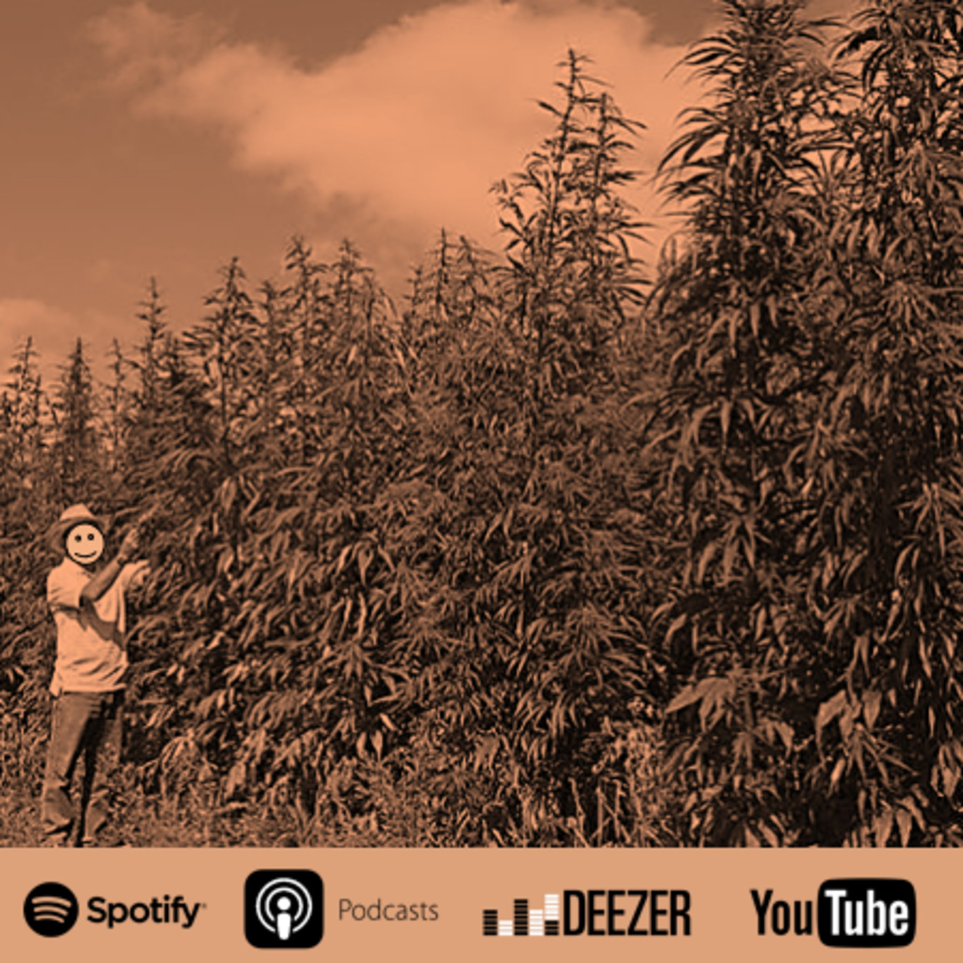 La Voz del Cannabis