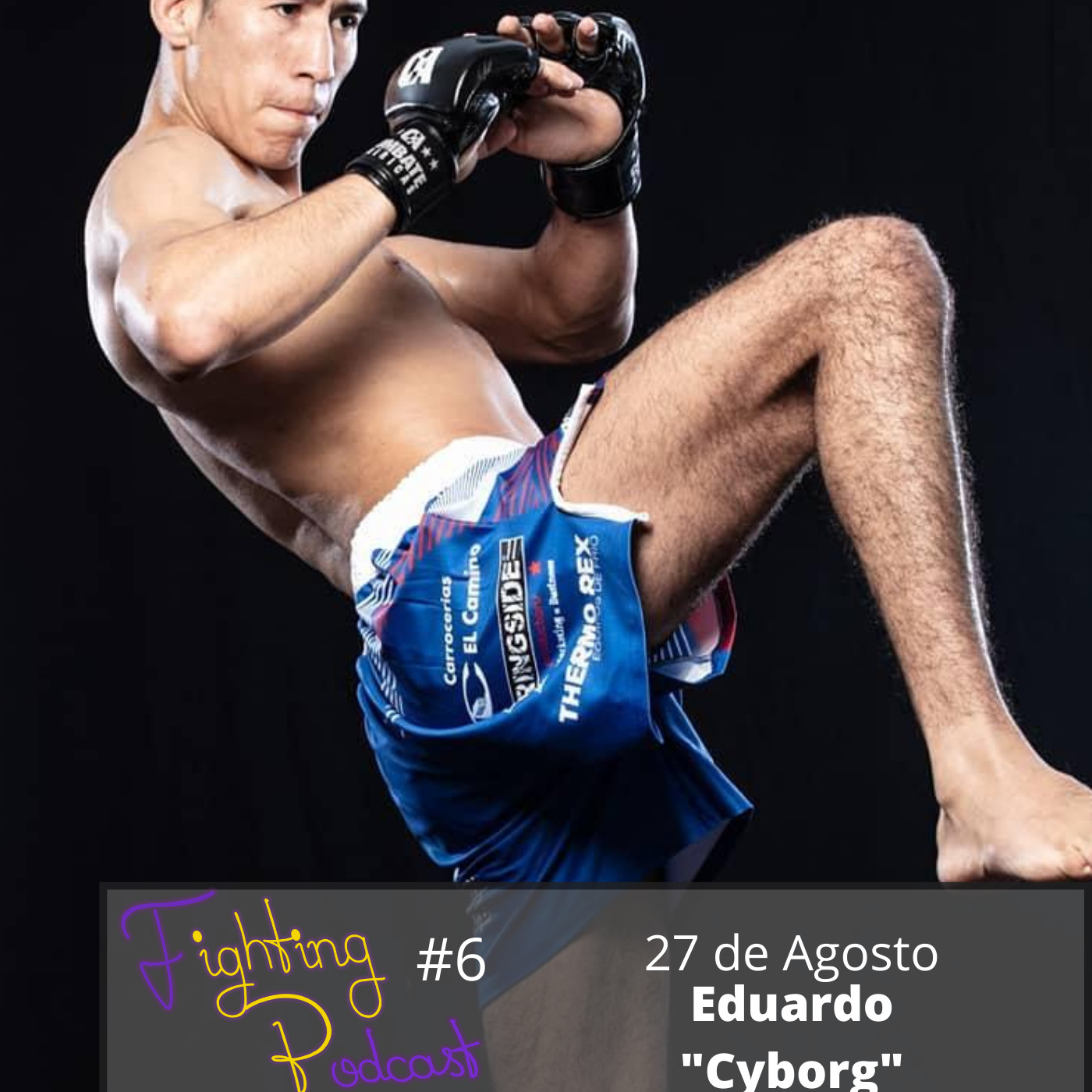 Fighting Podcast