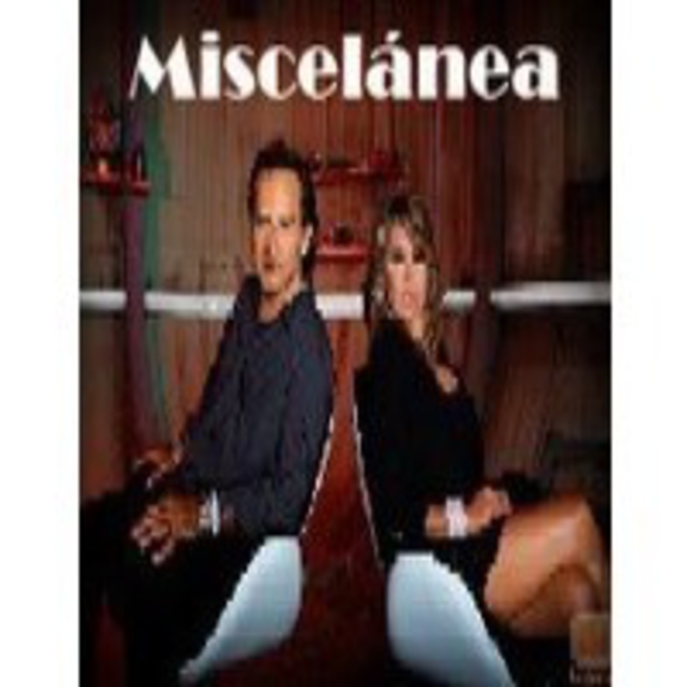 MISCELÁNEA