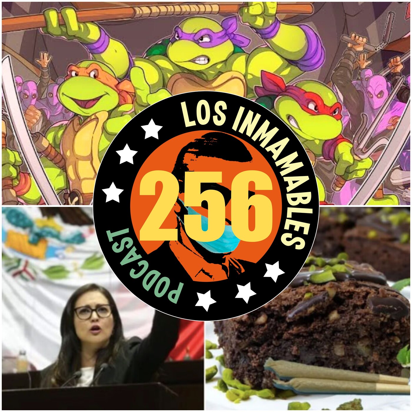 256: 4 Días de viaje con las Tortugas Ninja! episode artwork