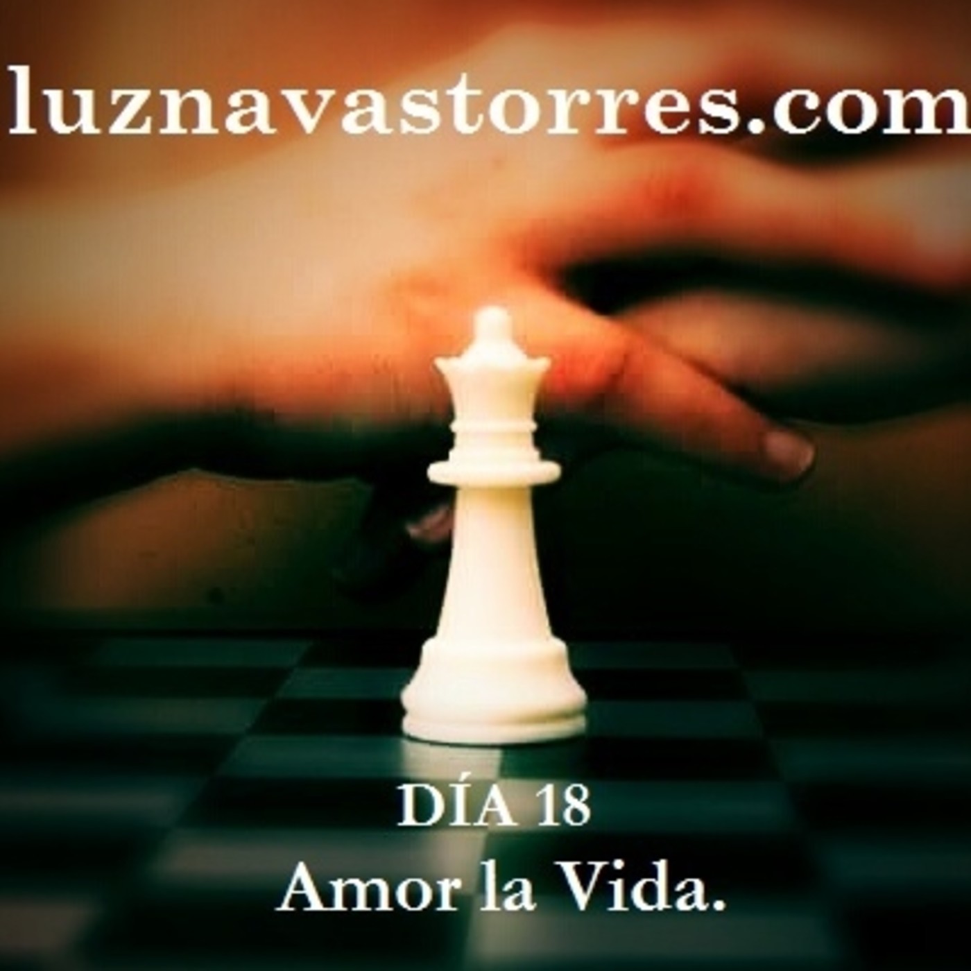 Programa Empoderamiento Femenino Reinas Conectadas