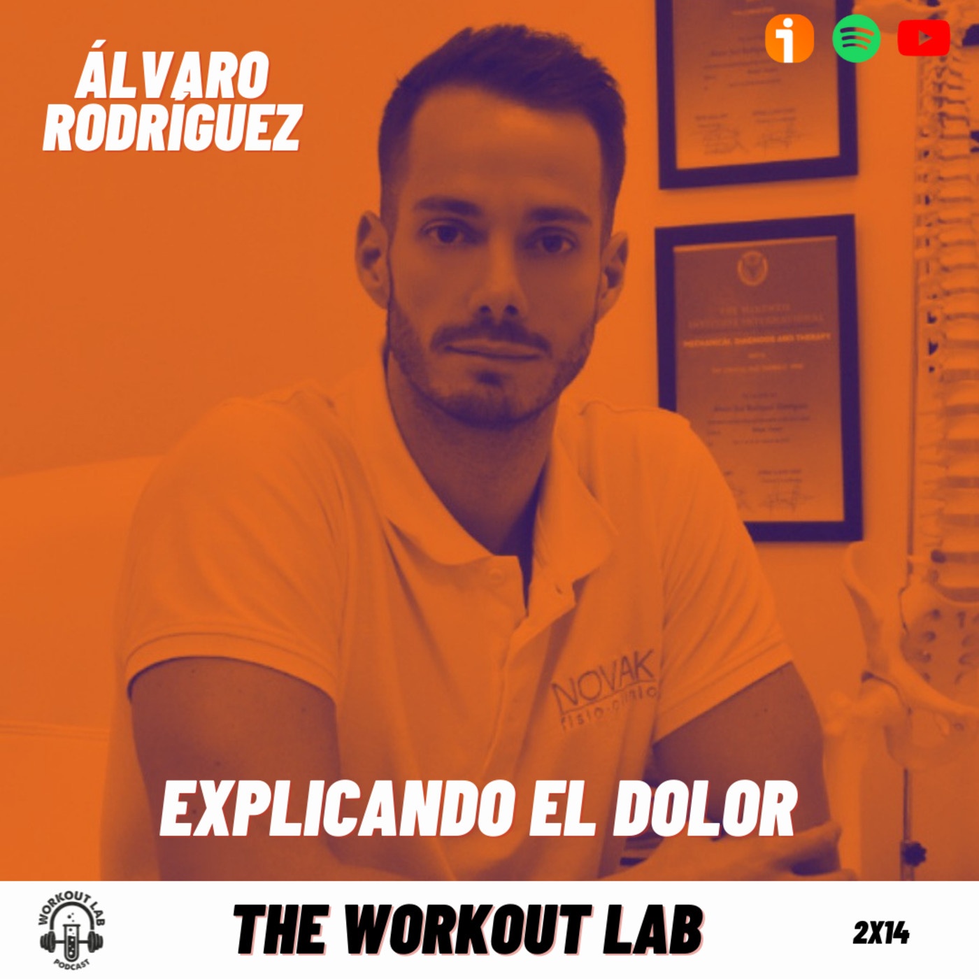 The Workout Lab