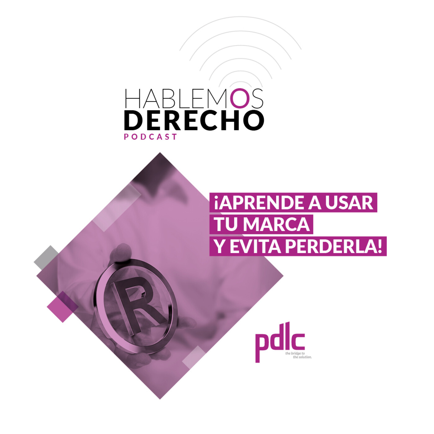 Hablemos Derecho con pdlc