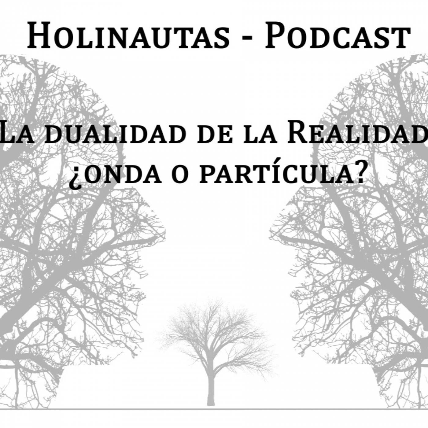 Holinautas