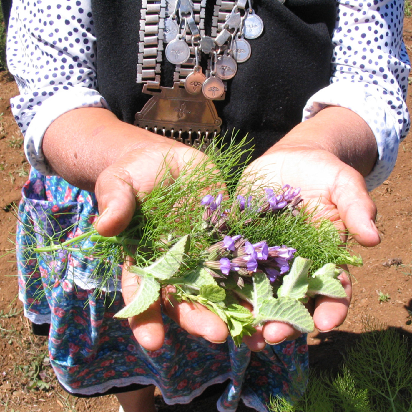 Cosas que pasan (Radio Libre)