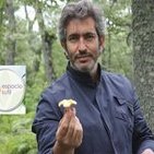2015-03-N01 - Grupo de Autoterapia ONLINE - La responsabilidad