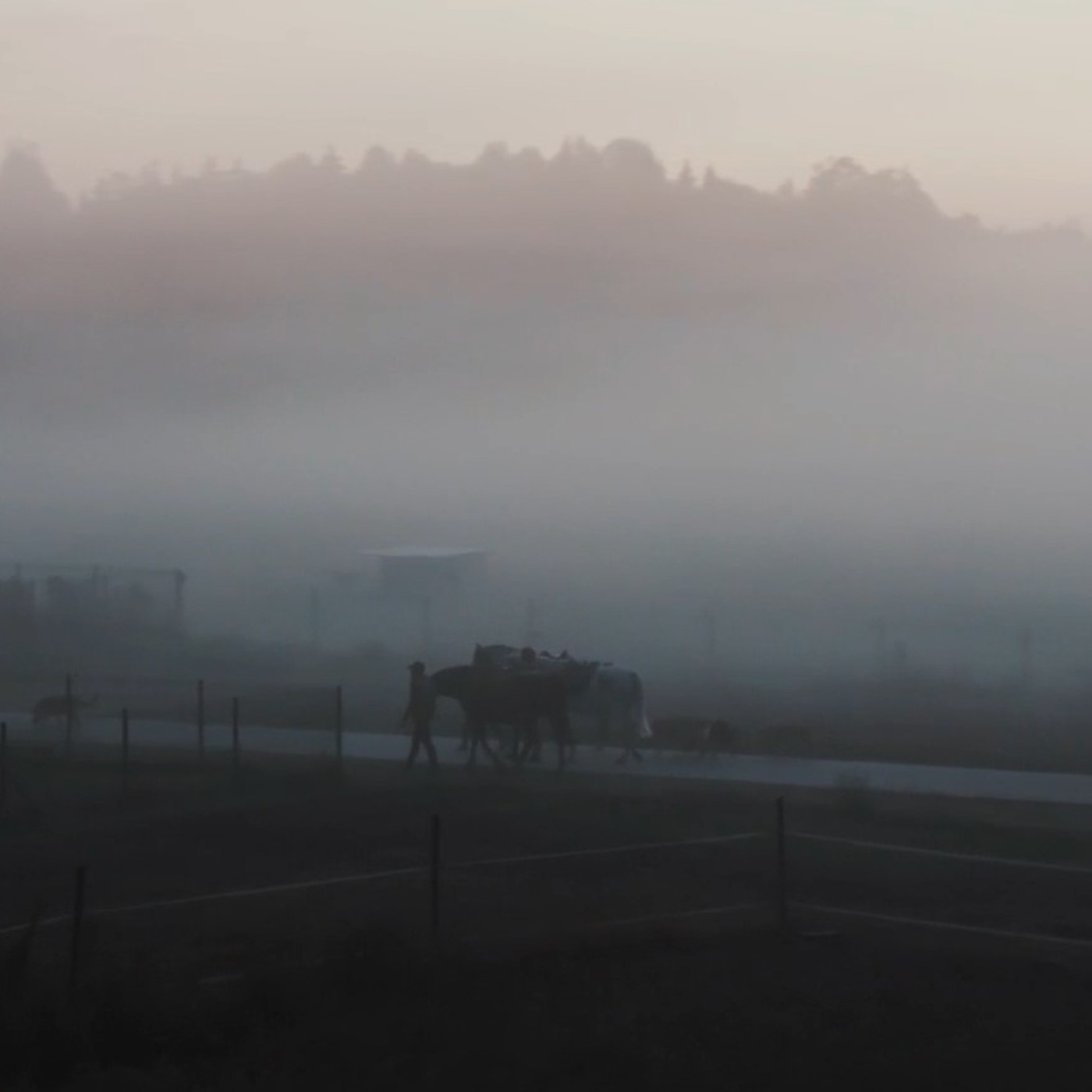 La Extraña Mujer del Arbol