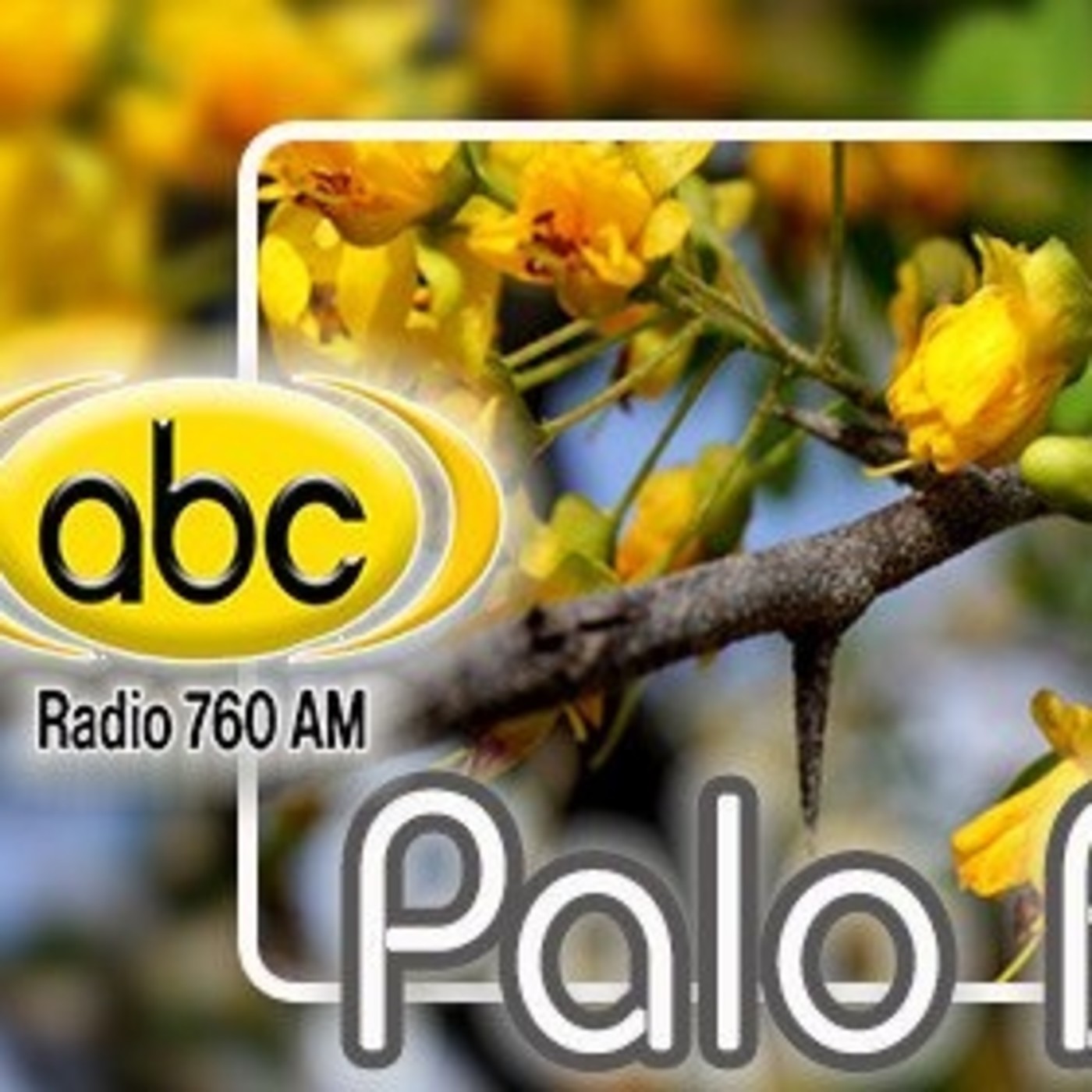 El Ángel de tu Salud - PALO BRASIL episode artwork