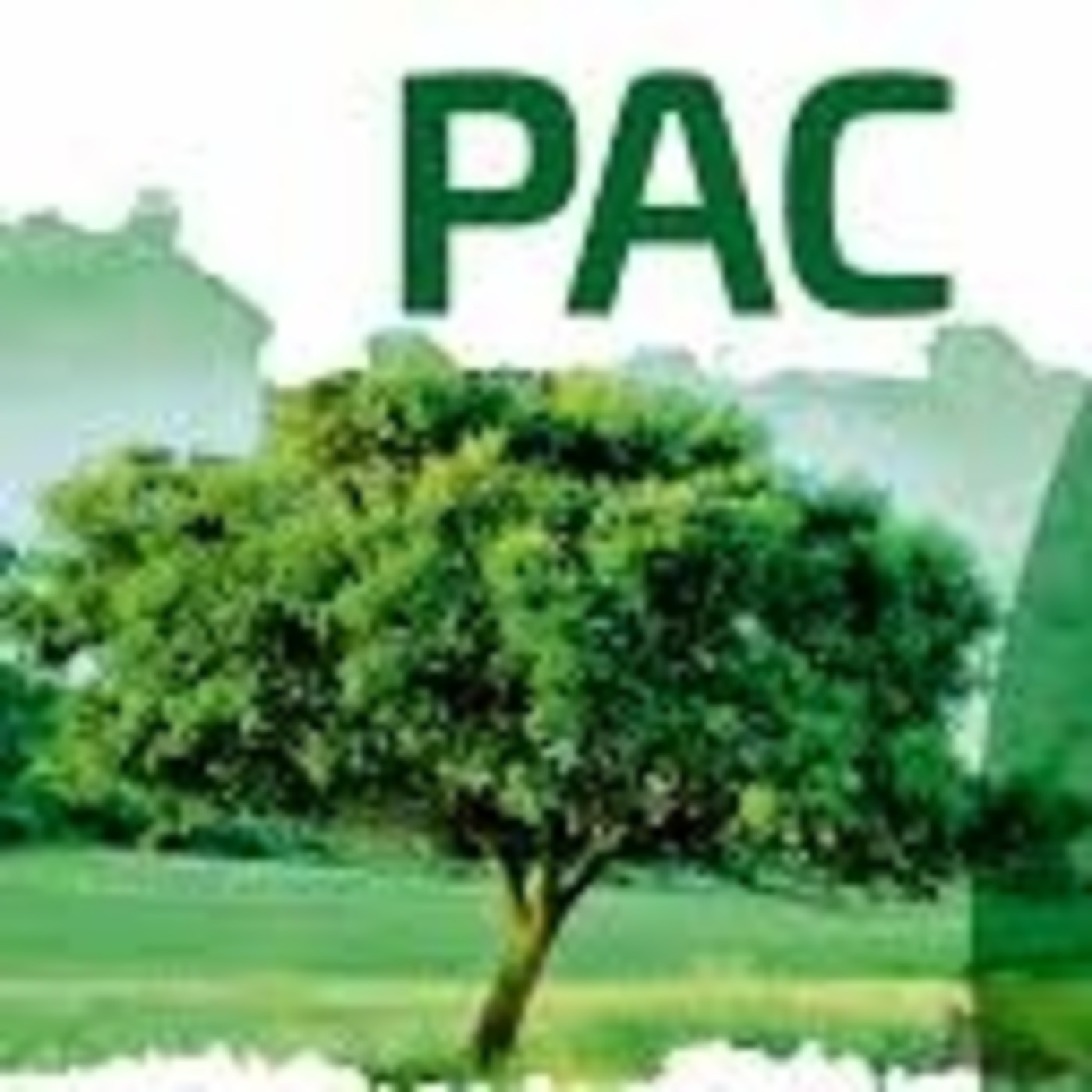 Prensa UPA CLM