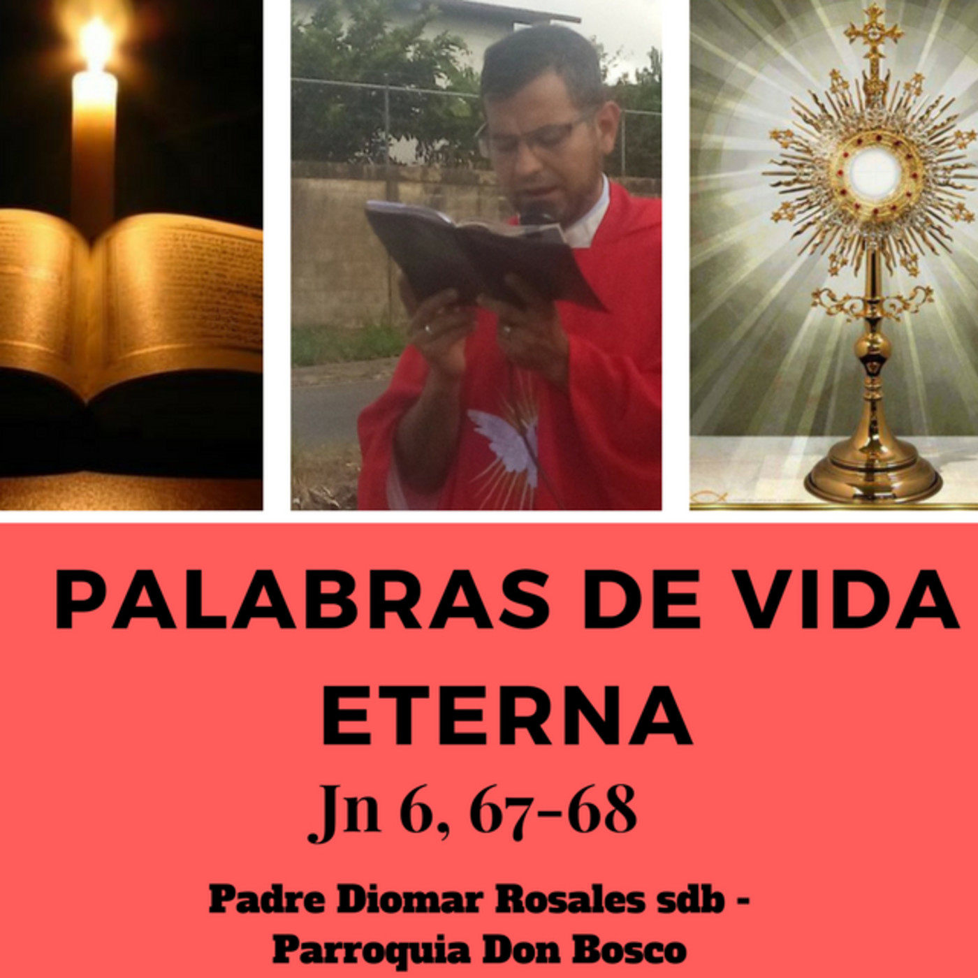 Palabras de Vida Eterna