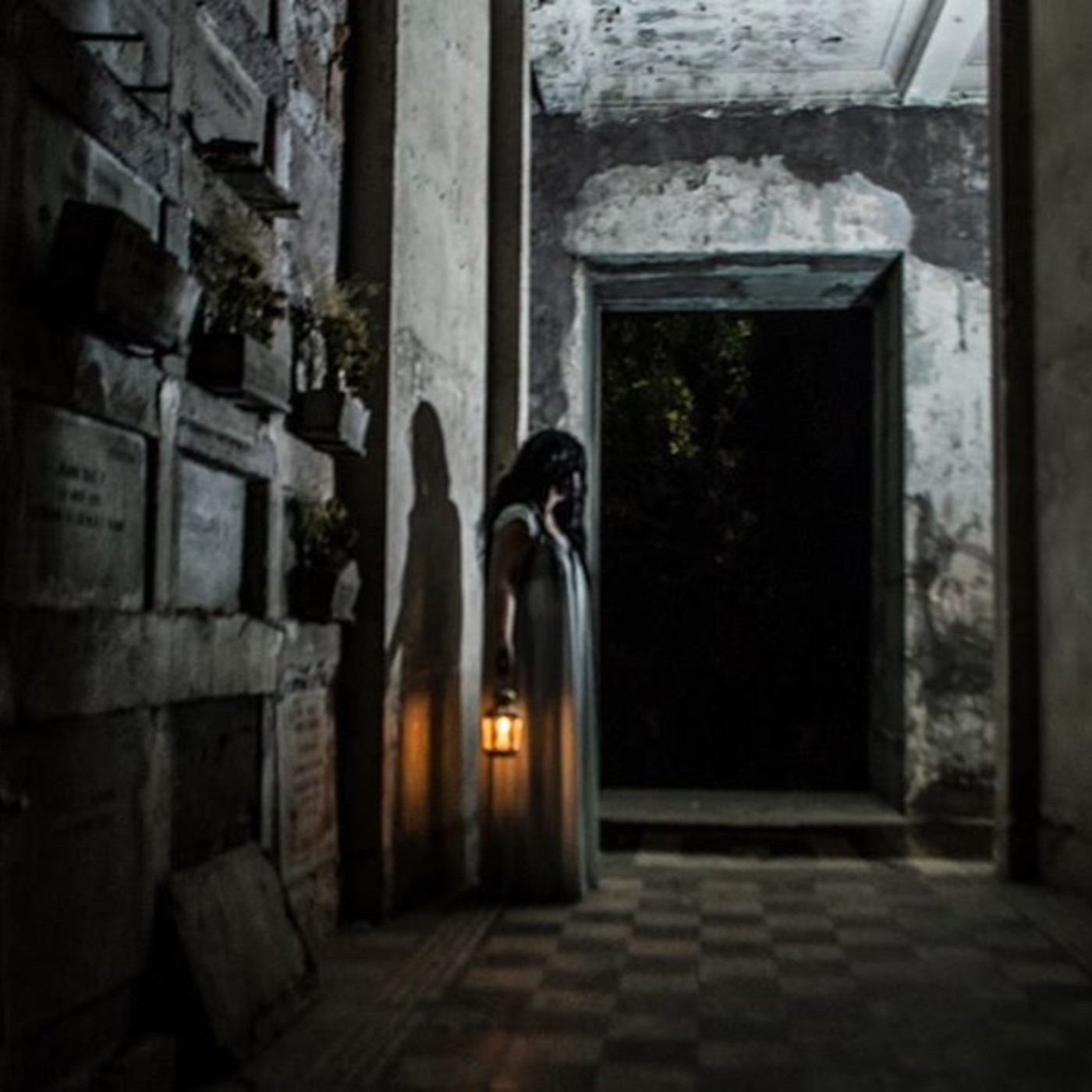 Cuentos del bosque oscuro