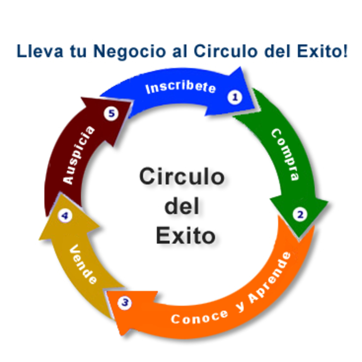 BASICOS del Network Marketing
