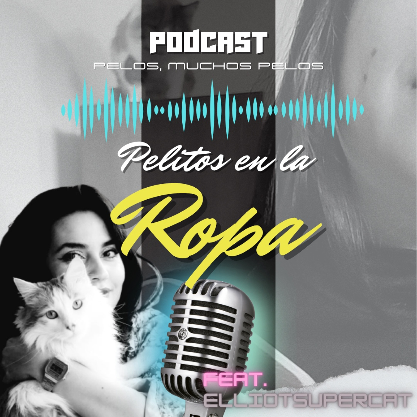 PELR: Pelitos en la Ropa
