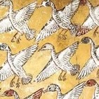 Billetes de ida: Como aves migratorias
