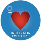 Galleta No. 12. Estado Óptimo. Fernando Palacio