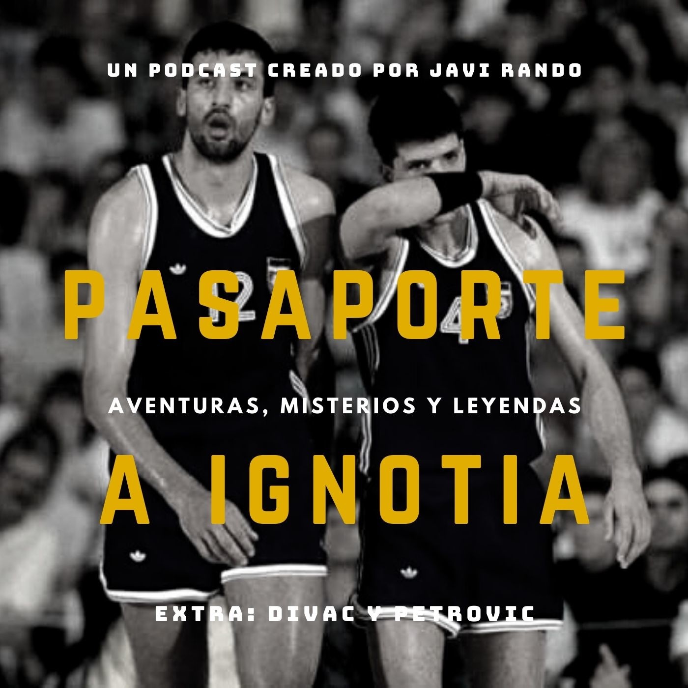 Pasaporte Historia