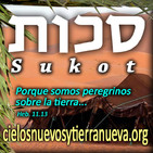 Reflexión final de sukot Traigamos nuestros frutos-